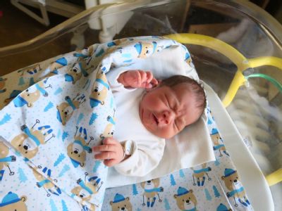 V Nemocnici Komárno sa v magický dátum narodilo sedem bábätiek 